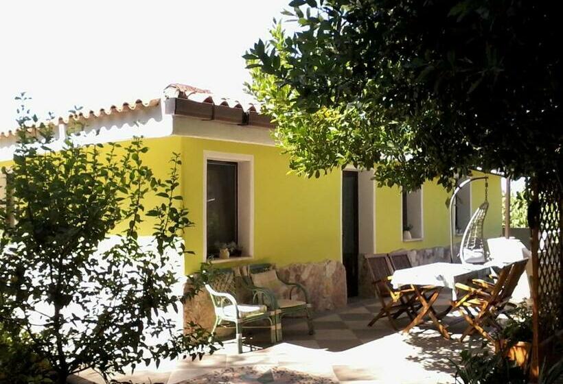 استودیوی استاندارد, B&b Meladormo