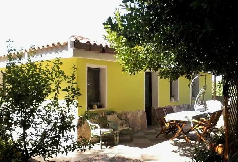 استودیوی استاندارد, B&b Meladormo