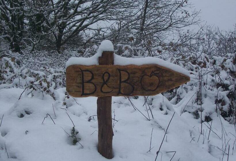 חדר סטודיו סטנדרד, B&b Meladormo