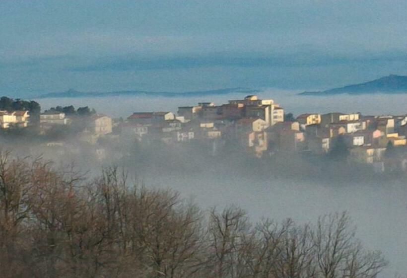 استودیوی استاندارد, B&b Meladormo