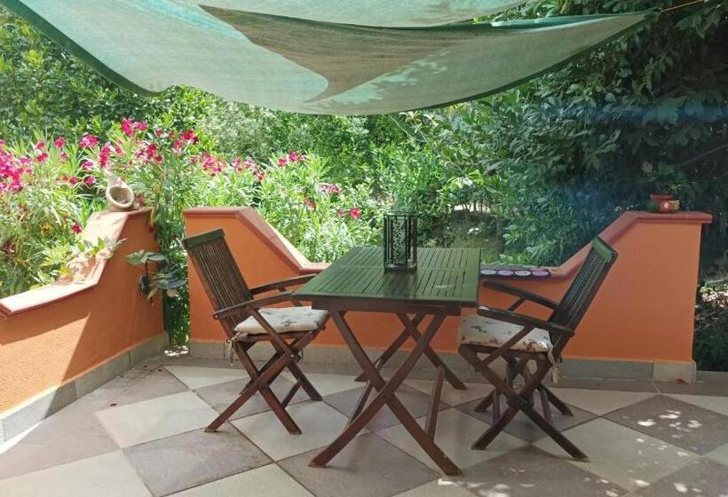 חדר סטודיו סטנדרד, B&b Meladormo