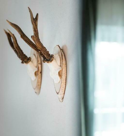 标准间带阳台, Heini