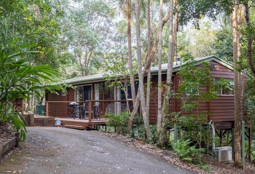 Хижина, Kondalilla Eco Resort