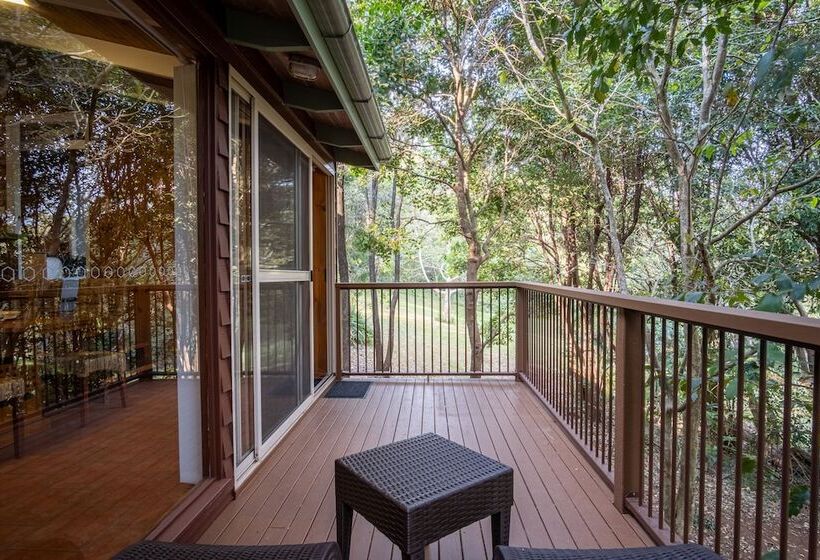 Хижина, Kondalilla Eco Resort