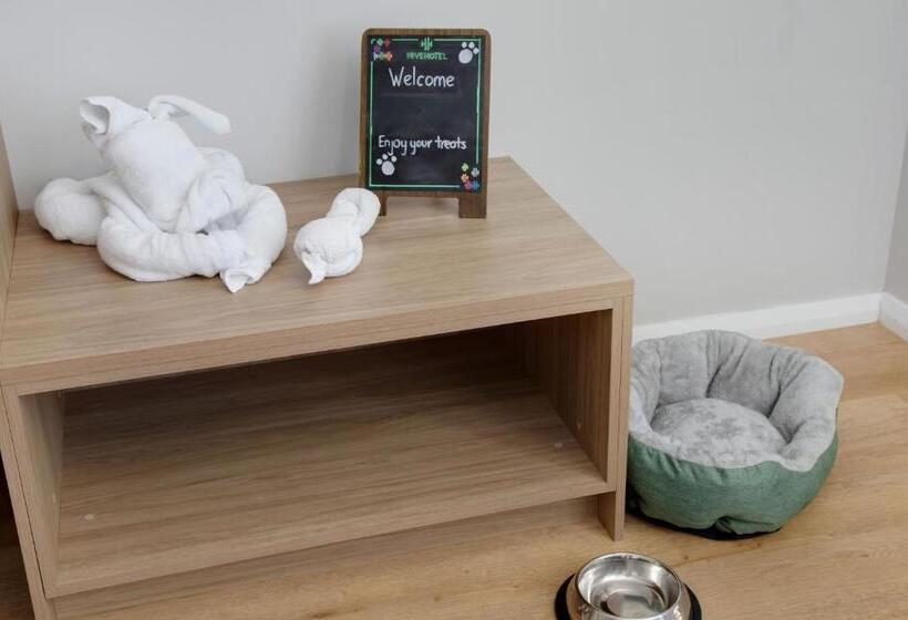 스탠다드 룸, Hive Hotel, Moruya