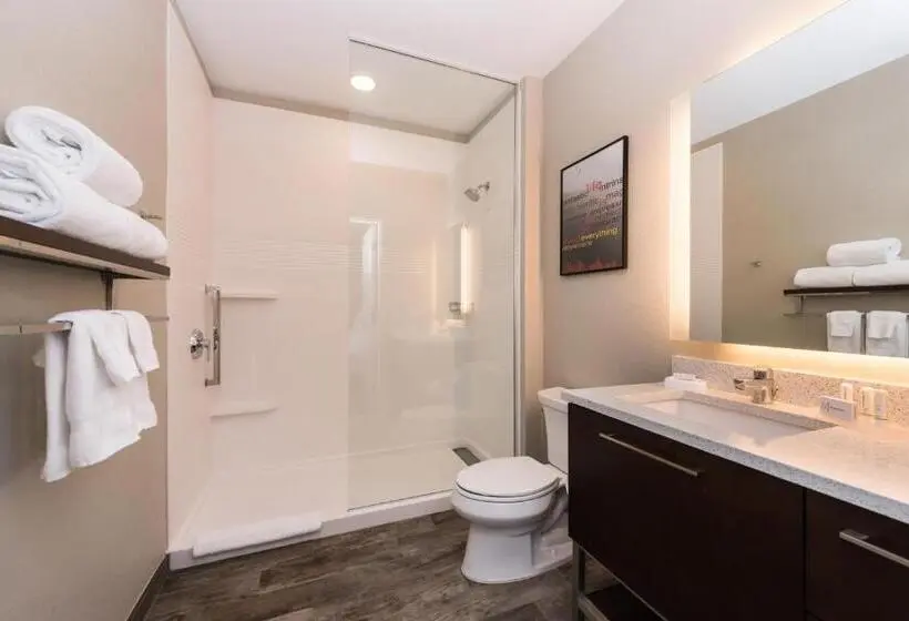 キングサイドベッドのスタンダードワンルーム, Towneplace Suites By Marriott Holland