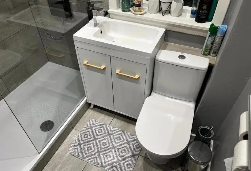 デラックスルーム, Mini Hotel With Home Facilities In Hamilton West