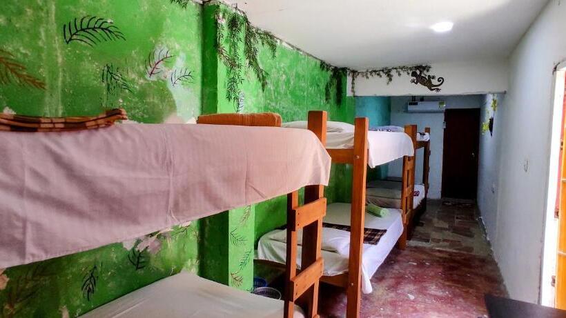 공동 객실, Casa Gloria Hostal