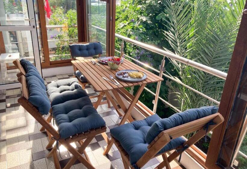 带大床的套房, The Next Suites