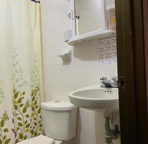 اتاق خانوادگی, Noe Plaza