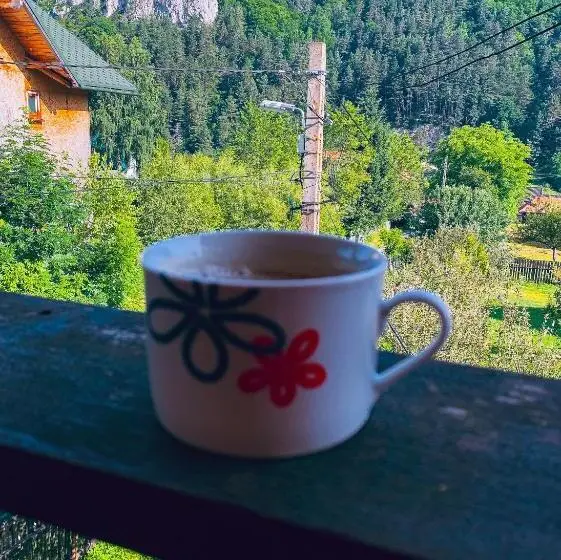 سوئیت با بالکن, Hilltop House