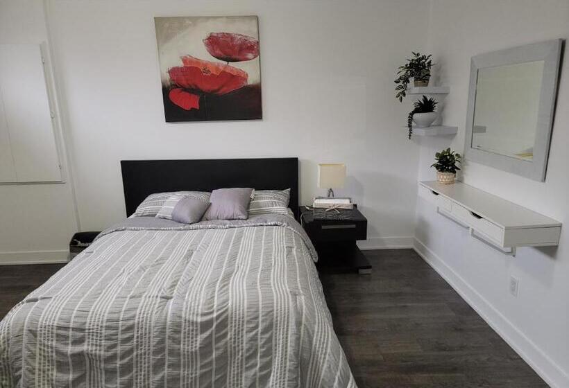 스탠다드 룸, Confort