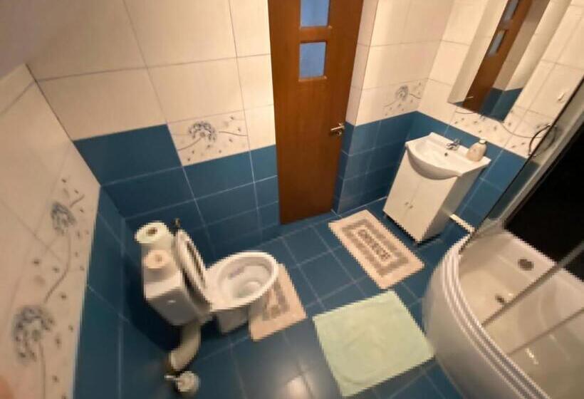 1ベッドルームハウス, Pensiunea Casa Andrei