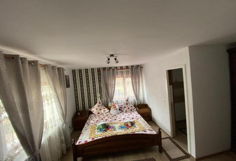 1ベッドルームハウス, Pensiunea Casa Andrei