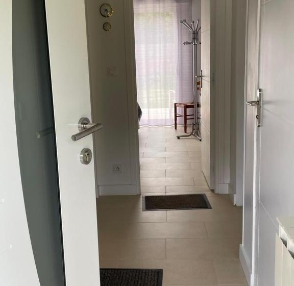 スタンダードルーム, Les Néreides