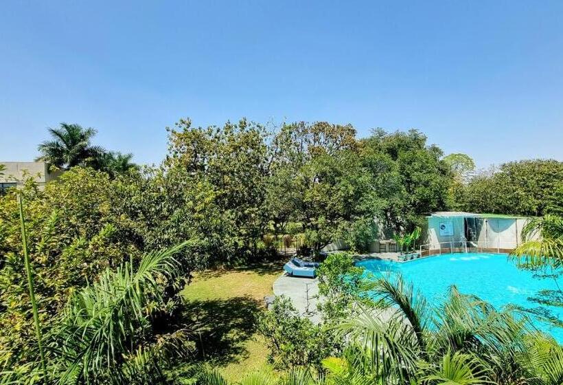 스탠다드 룸 킹사이즈 침대, Giovanni Village Resort