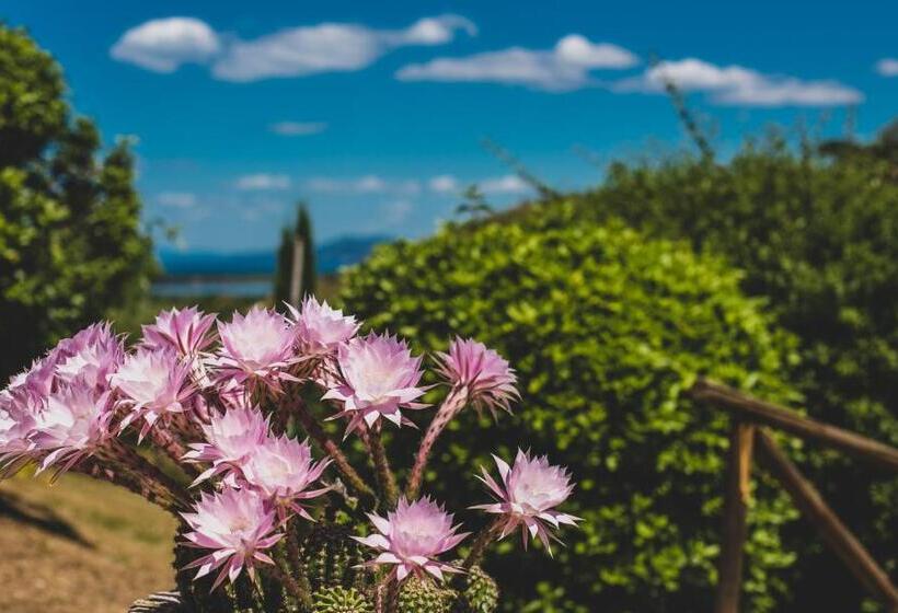 Номер Basic, Country Relais La Mortella