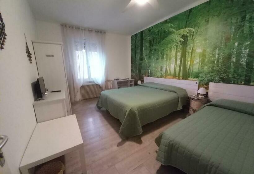 اتاق اکونومی, Bed & Breakfast Al Nettuno