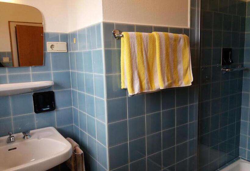 Номер Стандарт Панорамный Вид, B&b   Apartments Sunnwies