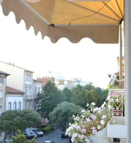 スタンダードルーム, Canarco