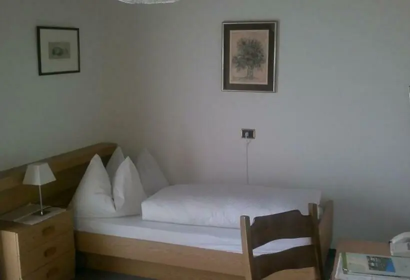 Standard Yhden Hengen Huone, B&b Gasthof Zur Linde