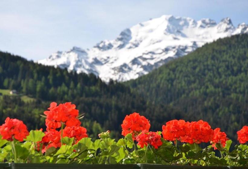 اتاق پنجتخته استاندارد, Meublè Rosalpina