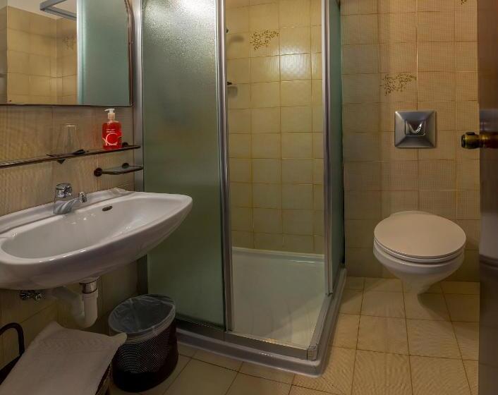 غرفة كومفورت فردية, Paladin