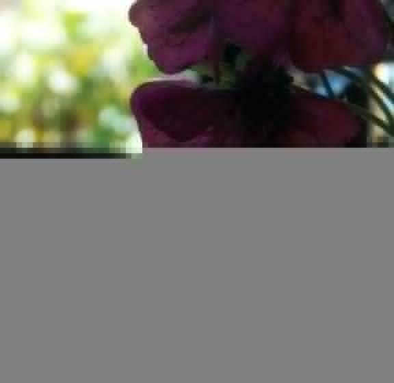 스탠다드 싱글 룸 싱글침대, Ristorante La Bettola