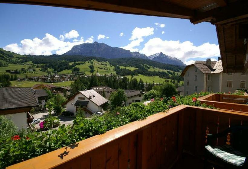 Номер Стандарт, Runcac