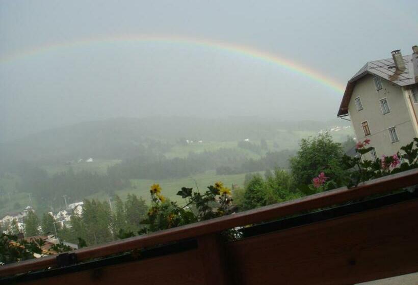 Номер Стандарт, Runcac