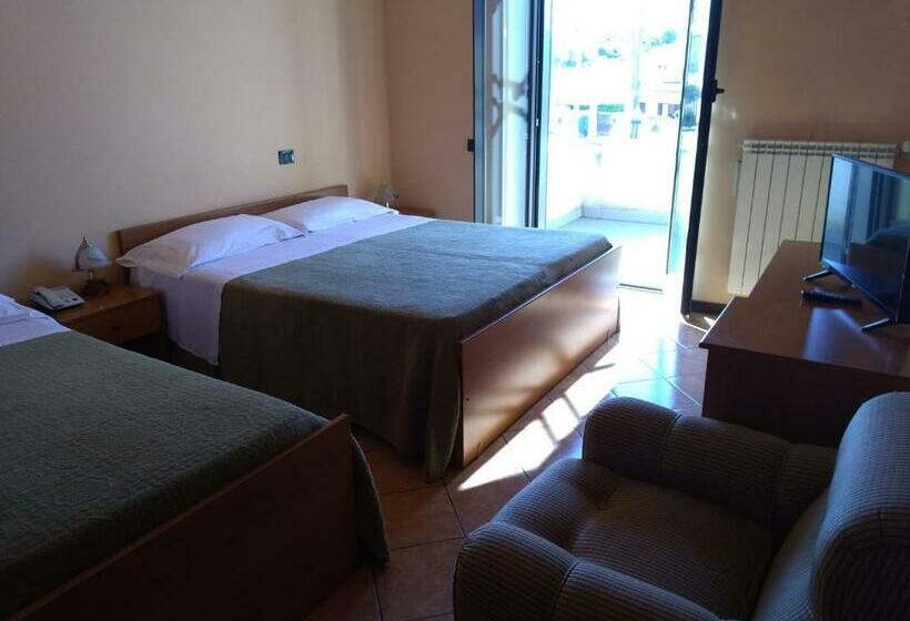 Номер Стандарт, Sassacci