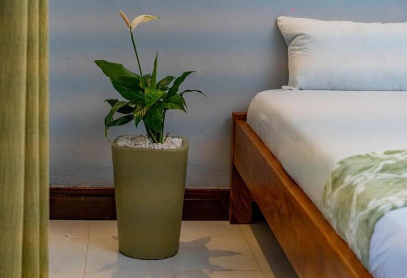 اتاق استاندارد با سرویس بهداشتی مشترک, Green Square Grove