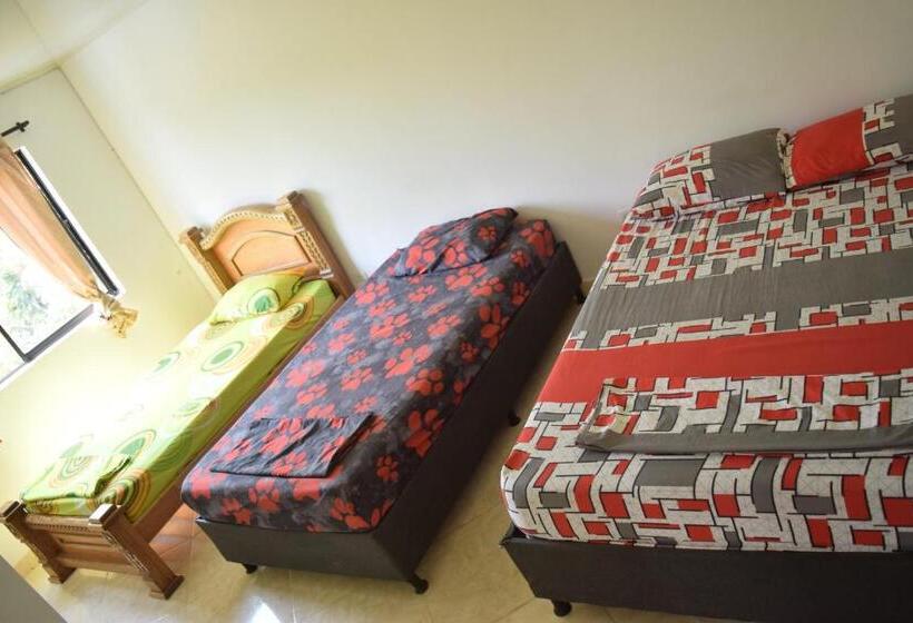 Quarto Familiar Deluxe, Apolo Jf