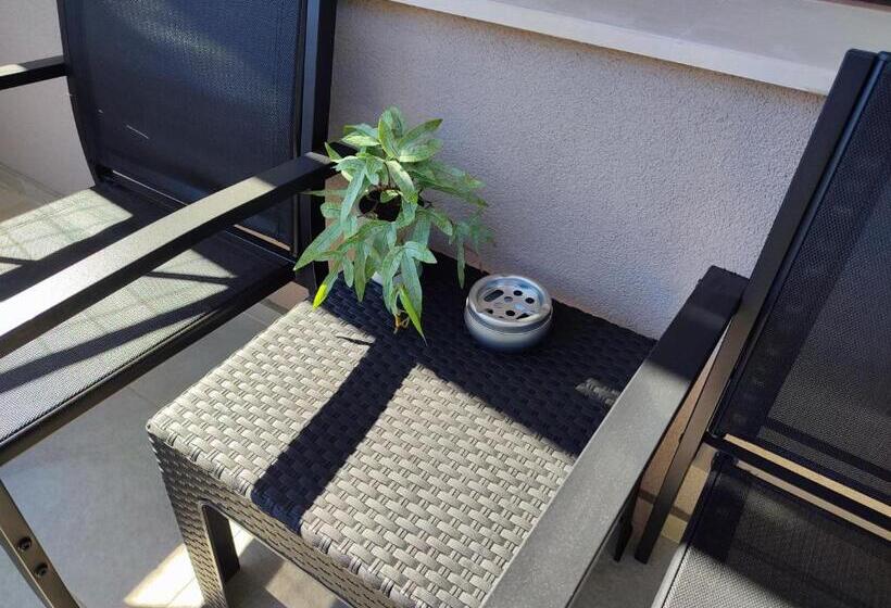 スタンダード4人部屋, Summer Day Chernomorets