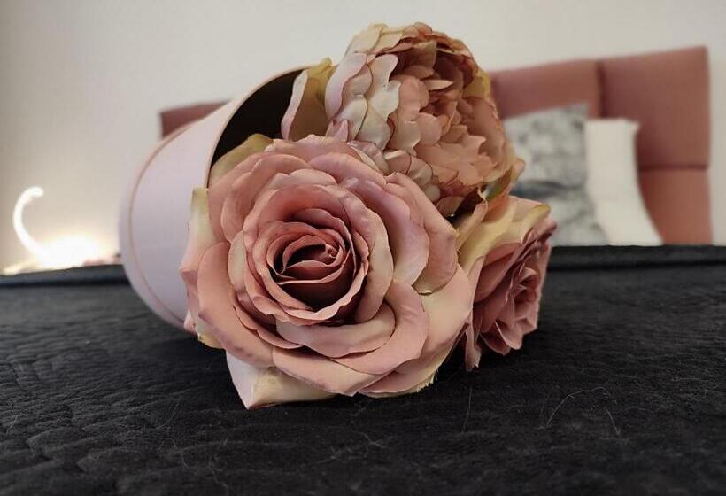 スタンダード4人部屋, Summer Day Chernomorets