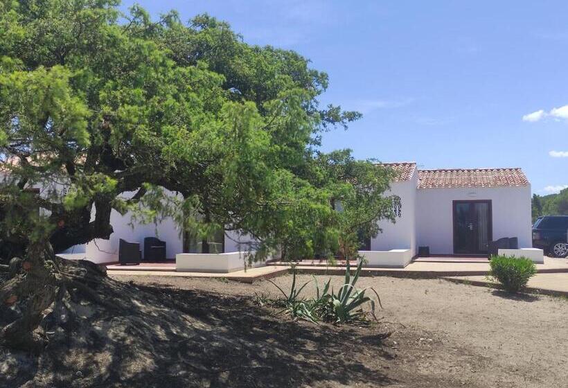 Superior Oda, Q Resort