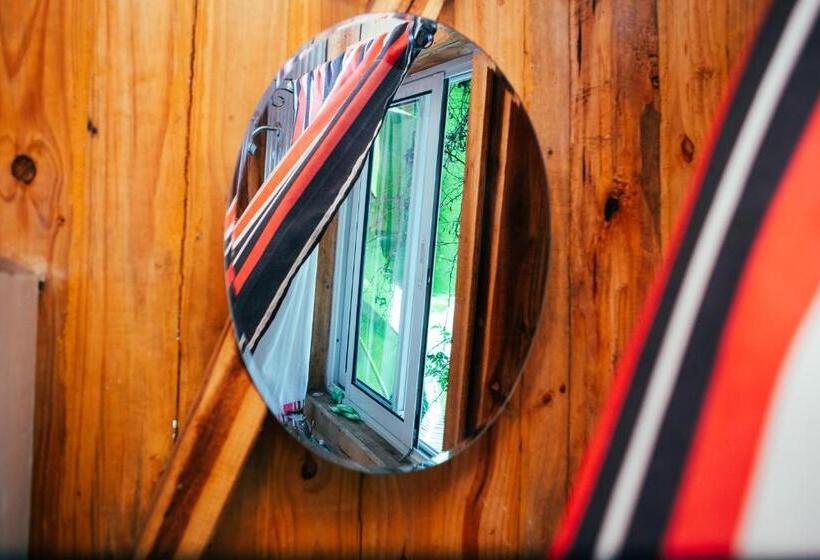 بانگلوی استاندارد, Madagascar Underground