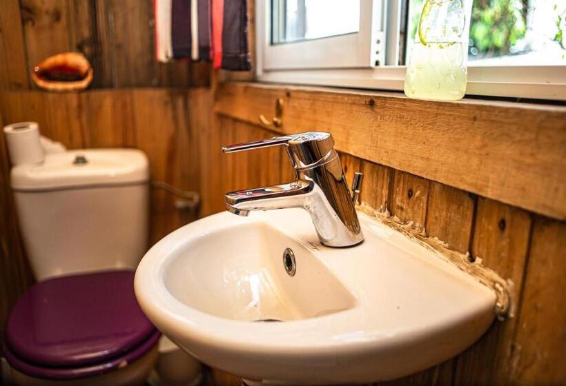 بانگلوی استاندارد, Madagascar Underground