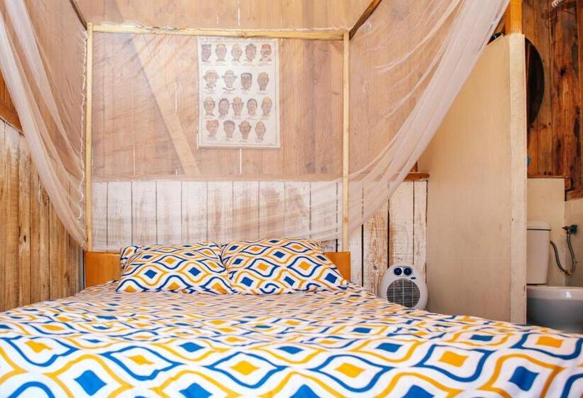 بانگلوی استاندارد, Madagascar Underground