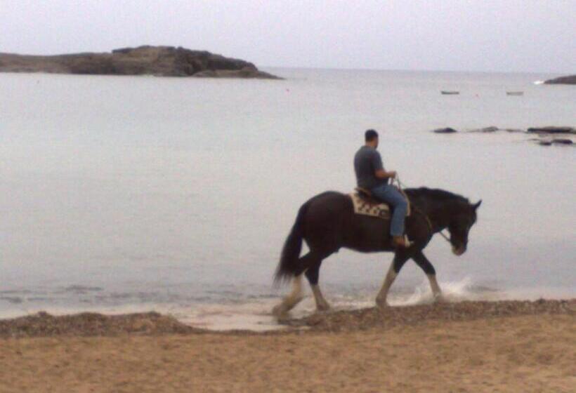 Номер Стандарт, B&b La Pineta