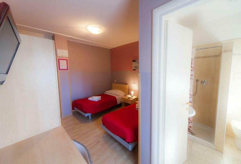 스탠다드 룸, Albi