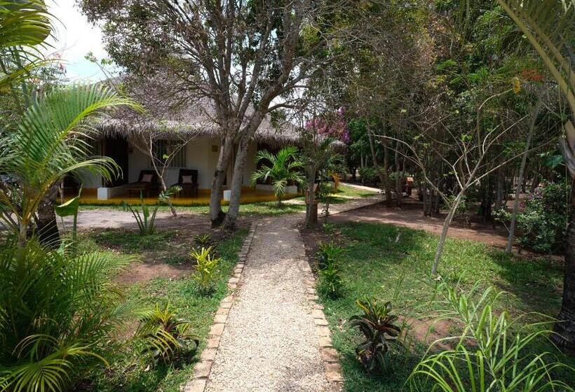 اتاق استاندارد, Antsanitia Resort