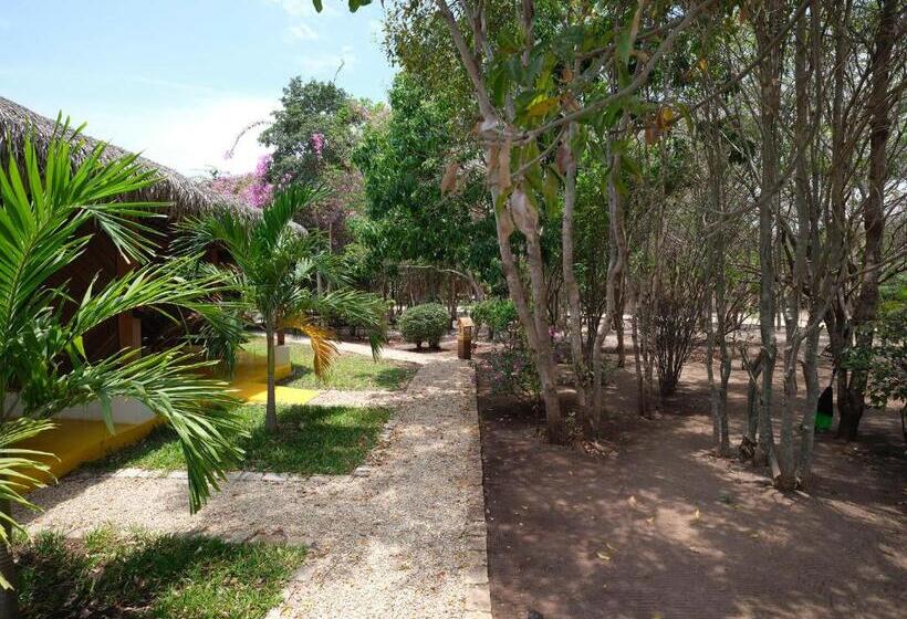 اتاق استاندارد, Antsanitia Resort