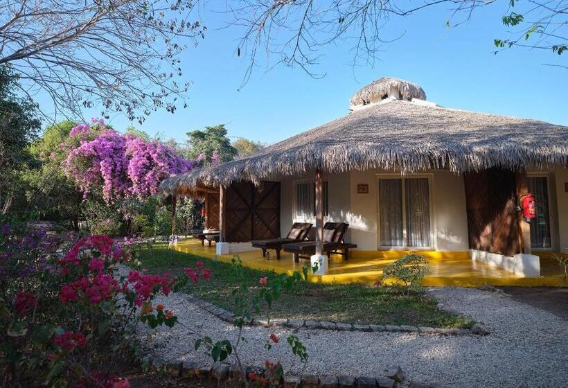 اتاق استاندارد, Antsanitia Resort