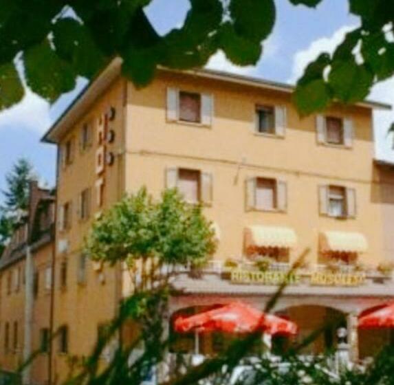 이코노미 룸, Albergo Musolesi