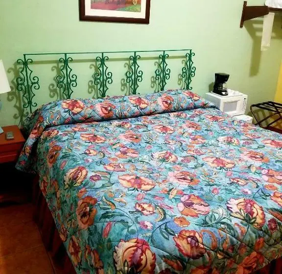 اتاق استاندارد با تخت بزرگ, Parador Guanica 1929