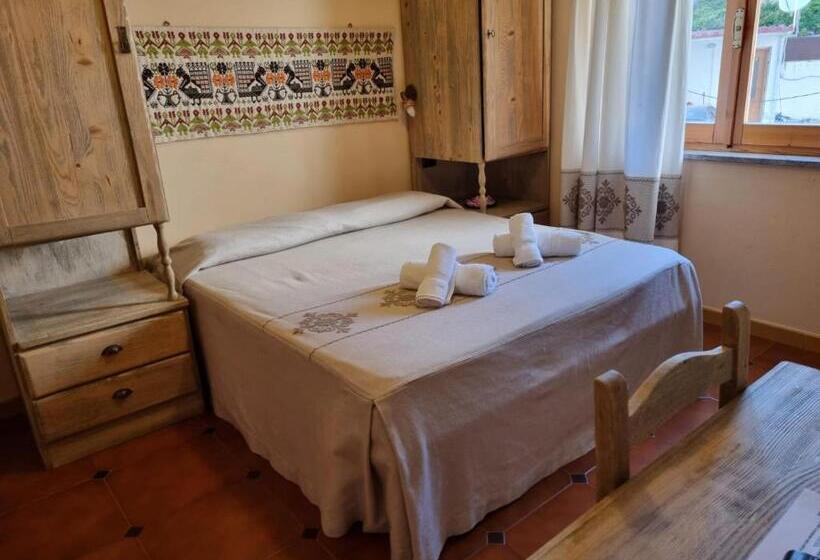 חדר בסיסי, Plammas