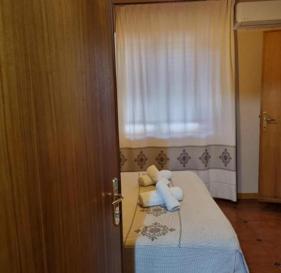 חדר בסיסי, Plammas