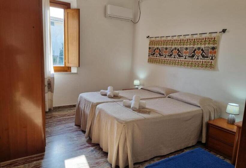 חדר סטנדרט, Plammas