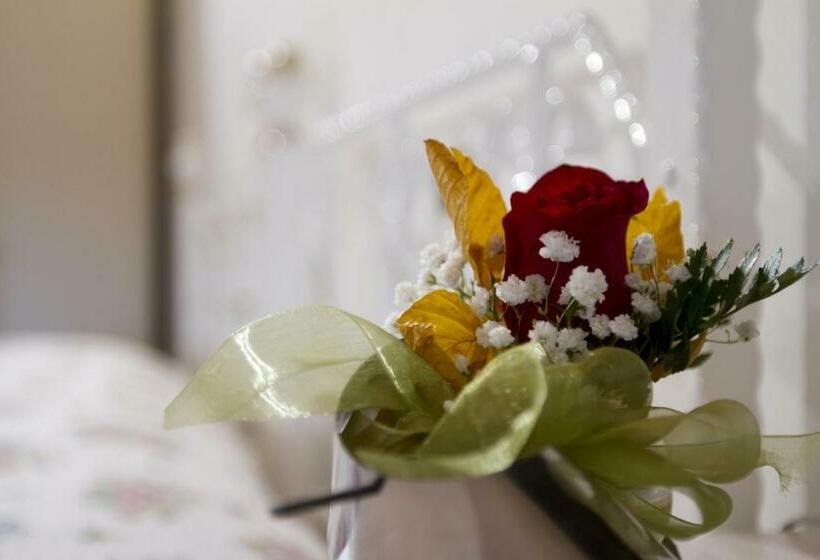 غرفة قياسية فردية, Villa Scalabrini